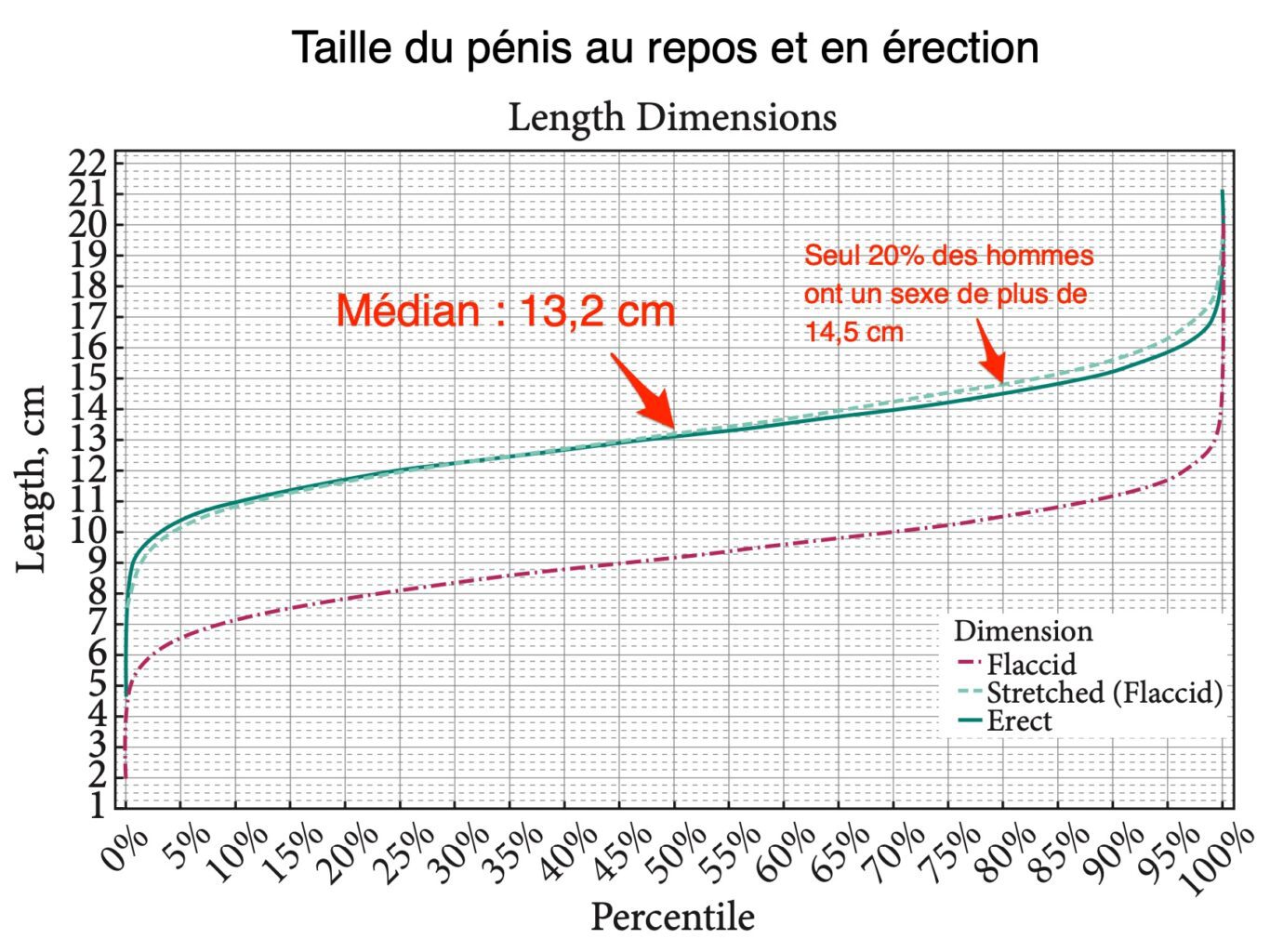 Etude penis suis je normal taille penis