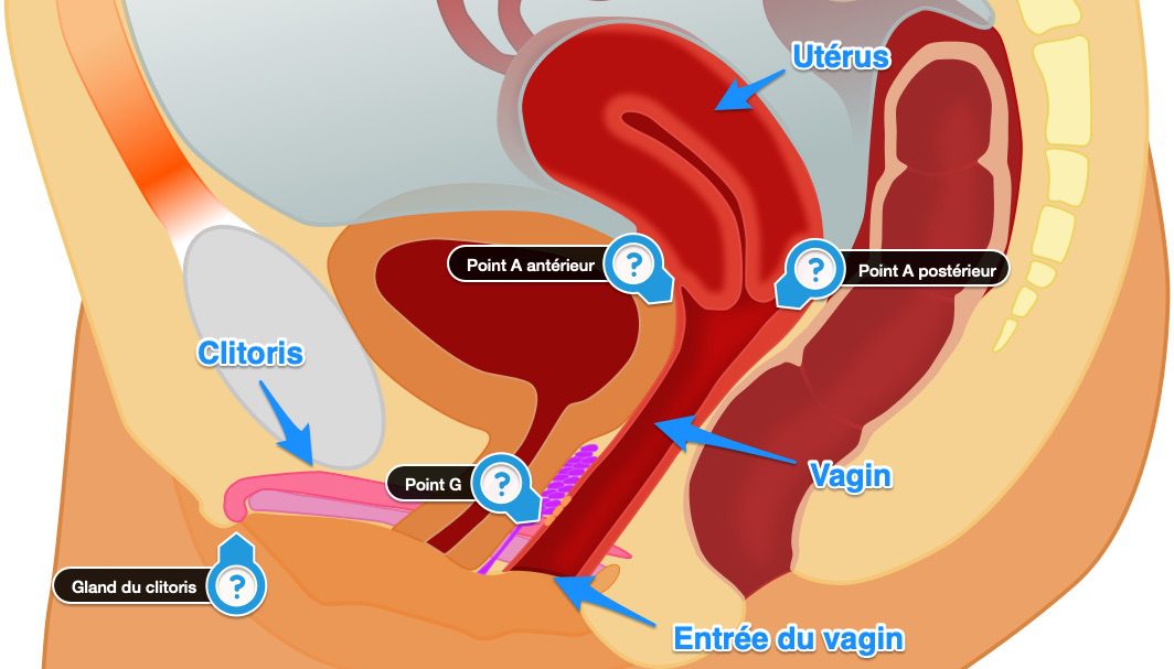 La Science de l'Orgasme : le plaisir féminin - NouveauxPlaisirs.fr
